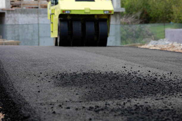 Best Driveway Paver Repair  in Laurel, DE