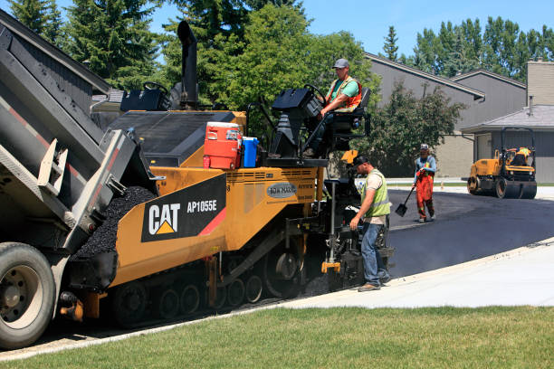 Best Local Driveway Pavers  in Laurel, DE